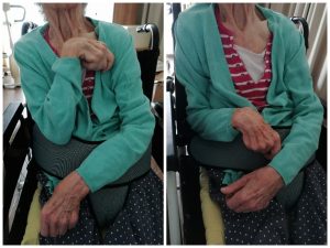 Senecura dom za starije