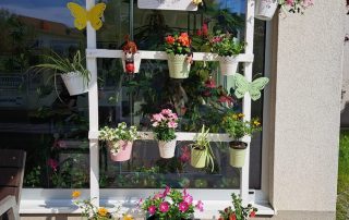 Senecura dom za starije