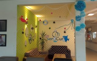 Senecura dom za starije