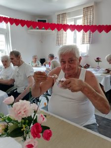 Senecura dom za starije