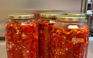 Senecura dom za starije