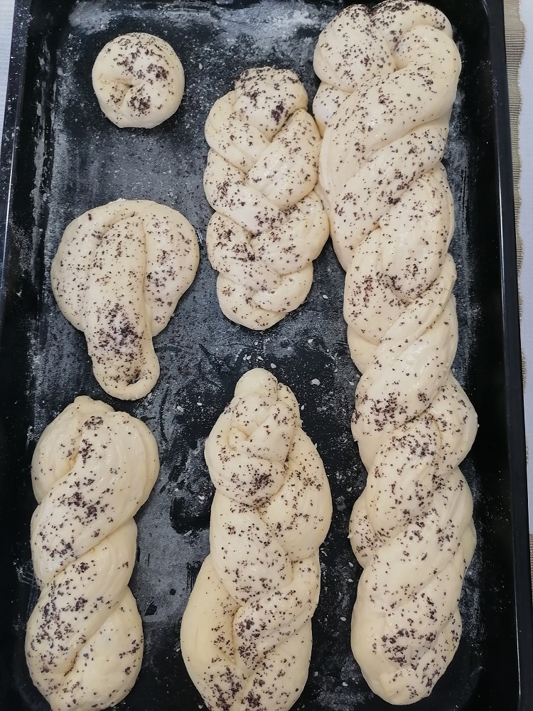 Senecura dom za starije