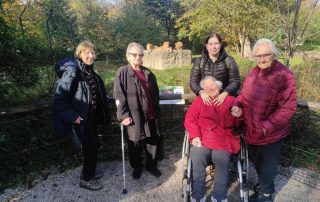 Senecura dom za starije