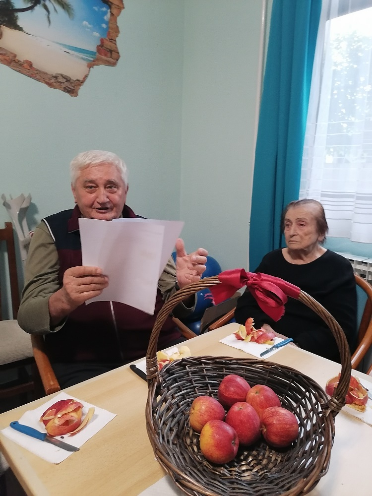 Senecura dom za starije