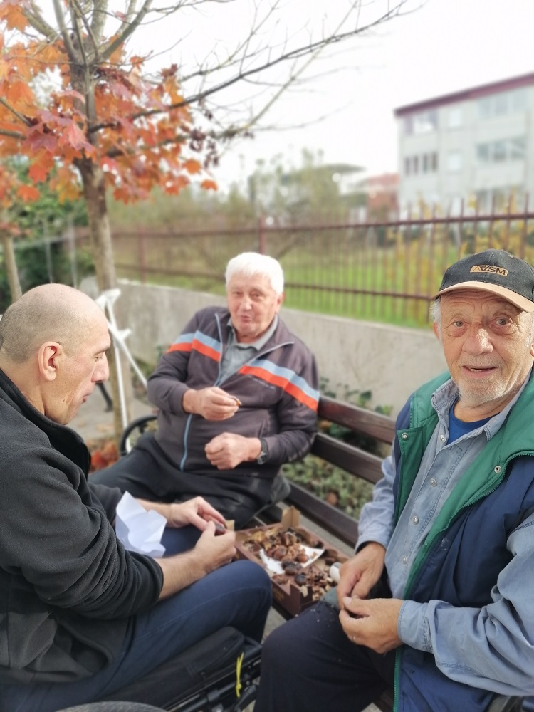 Senecura dom za starije