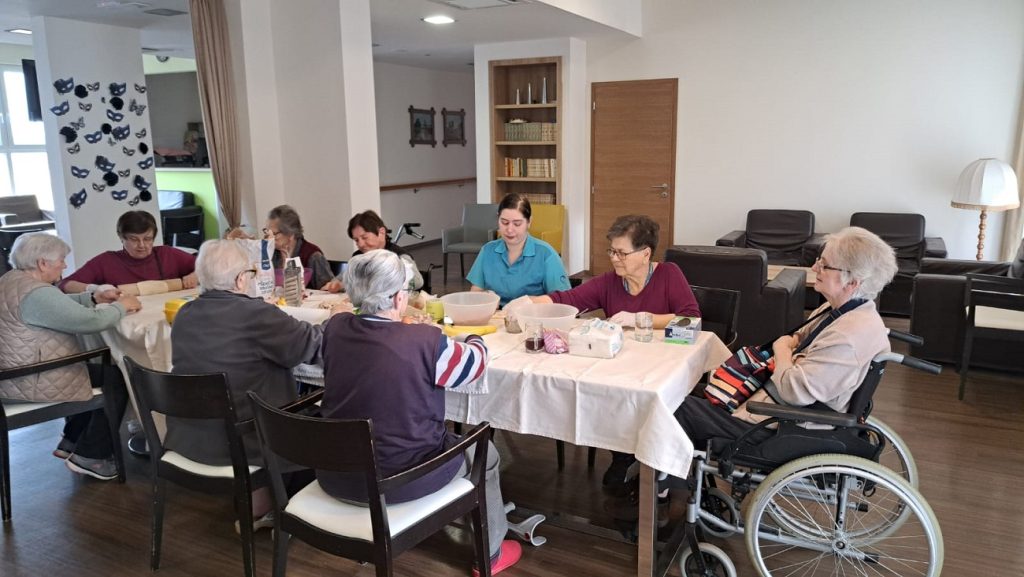 Senecura dom za starije