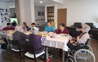 Senecura dom za starije