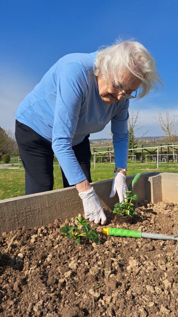 Senecura dom za starije
