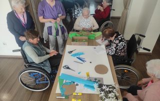 Senecura dom za starije