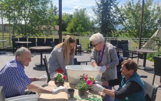 Senecura dom za starije