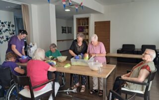 Senecura dom za starije