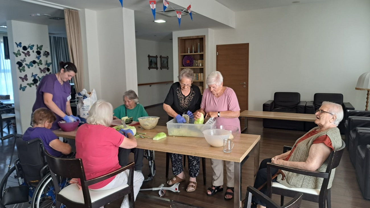 Senecura dom za starije