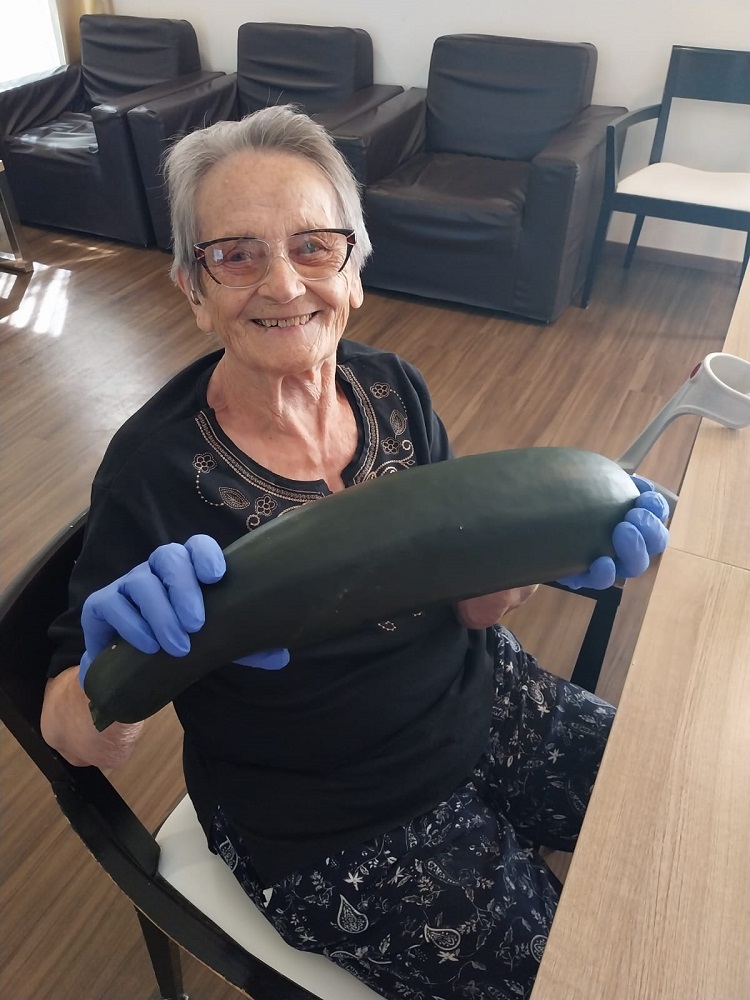 Senecura dom za starije