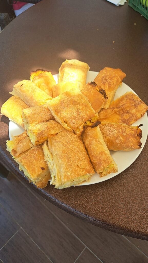 Senecura dom za starije