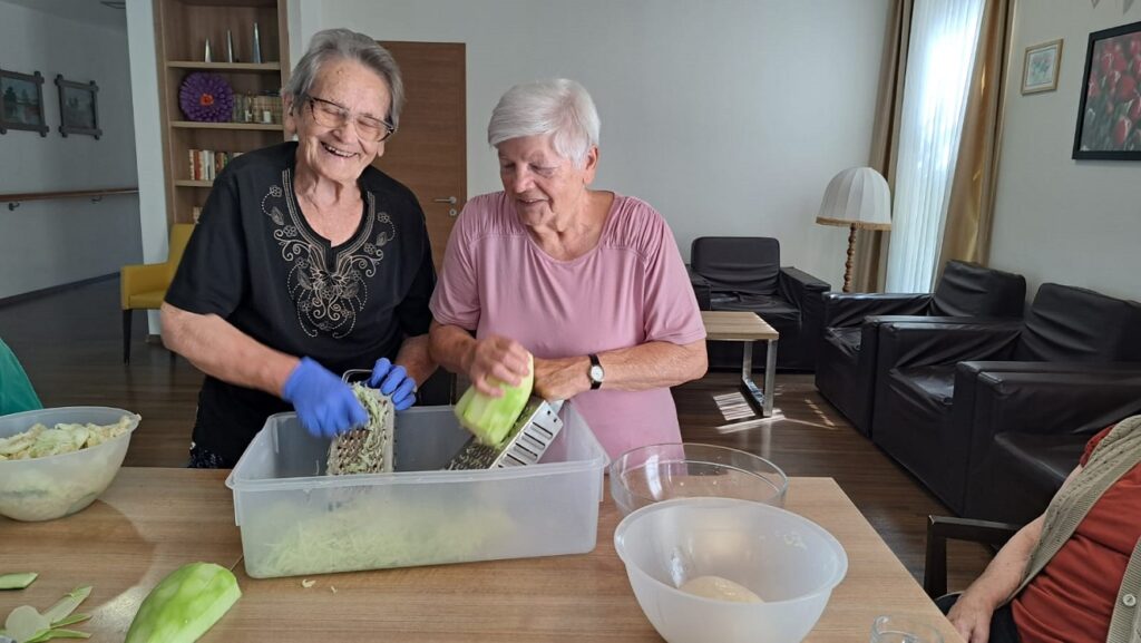 Senecura dom za starije