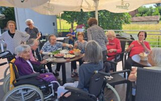 Senecura dom za starije