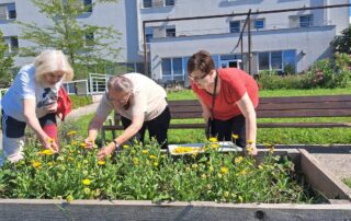 Senecura dom za starije