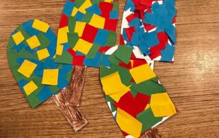 Senecura dom za starije