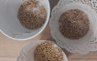 SeneCura dom za starije